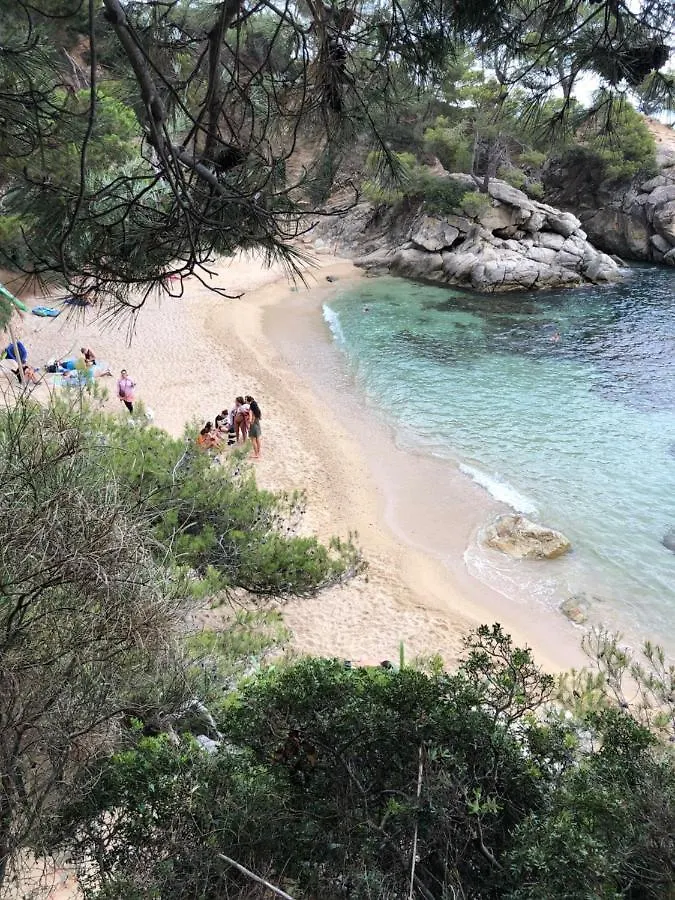 9 Carrer Llorer Platja d'Aro